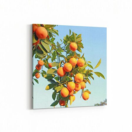 Olla 15039K Gıda Görseli Kare Kanvas Tablo (Ölçü: 25X25)