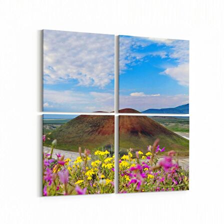 Olla 14353K4 Doğa / Manzara Görseli Kare 4'lü Kanvas Tablo (Ölçü: 105X105)