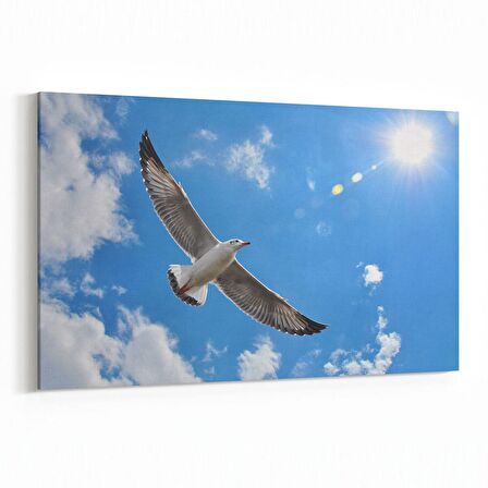 Olla 15839Y Gökyüzü Kuşlar Görseli Yatay Kanvas Tablo (Ölçü: 45X30)
