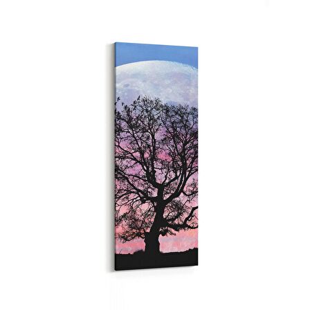 Olla 14159DI Doğa / Manzara Görseli Dikey İnce Kanvas Tablo (Ölçü: 40X120)