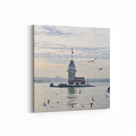 Olla 18951K Yapı Görseli Kare Kanvas Tablo (Ölçü: 25X25)