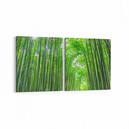 Olla 13474K2Y Doğa / Manzara Görseli Kare 2'li Yatay Kanvas Tablo (Ölçü: 65X30)