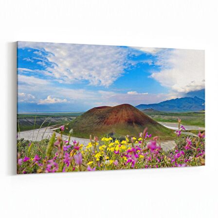 Olla 14353Y Doğa / Manzara Görseli Yatay Kanvas Tablo (Ölçü: 90X60)