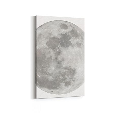 Olla 14794D Gece Gökyüzü Görseli Dikey Kanvas Tablo (Ölçü: 80X120)