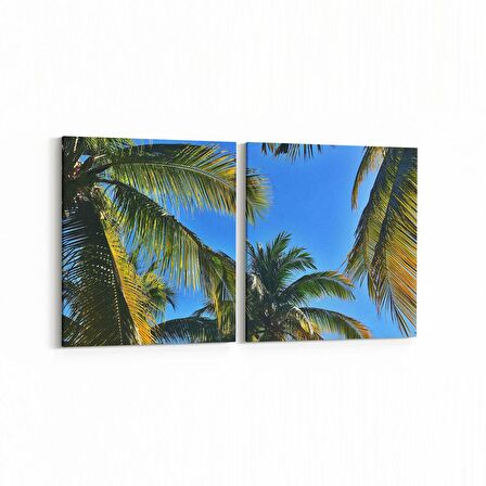 Olla 11534K2Y Palmiye Ağacı Görseli Kare 2'li Yatay Kanvas Tablo (Ölçü: 65X30)