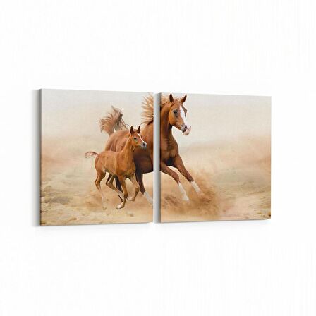 Olla 12532K2Y Hayvanlar Alemi Görseli Kare 2'li Yatay Kanvas Tablo (Ölçü: 65X30)