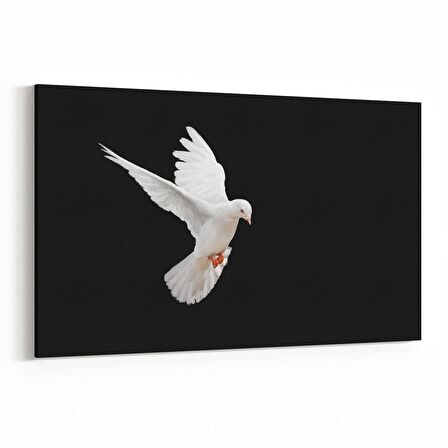 Olla 12614Y Hayvanlar Alemi Görseli Yatay Kanvas Tablo (Ölçü: 90X60)