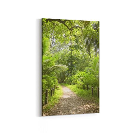 Olla 13428D Doğa / Manzara Görseli Dikey Kanvas Tablo (Ölçü: 40X60)