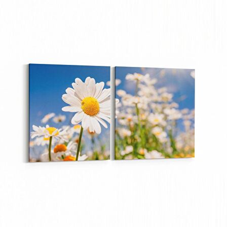 Olla 13543K2Y Doğa / Manzara Görseli Kare 2'li Yatay Kanvas Tablo (Ölçü: 65X30)