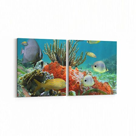 Olla 12064K2Y Akvaryum / Balık Görseli Kare 2'li Yatay Kanvas Tablo (Ölçü: 145X70)