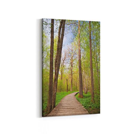 Olla 13445D Doğa / Manzara Görseli Dikey Kanvas Tablo (Ölçü: 70X105)