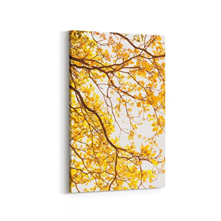 Olla 10565D Ağaç Görseli Dikey Kanvas Tablo (Ölçü: 80X120)