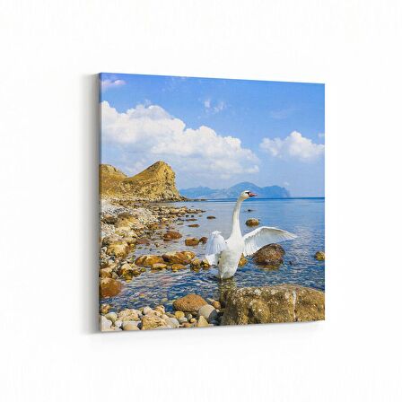 Olla 14444K Doğa / Manzara Görseli Kare Kanvas Tablo (Ölçü: 25X25)