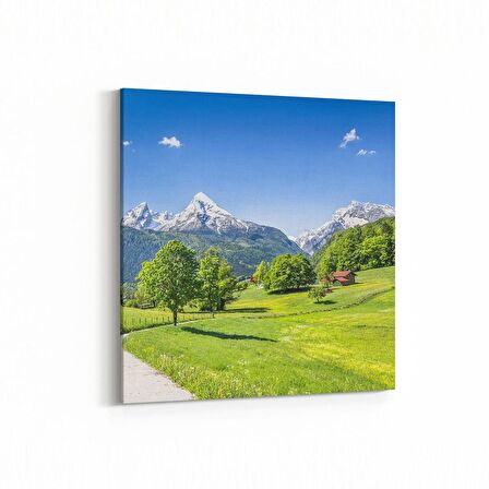 Olla 13690K Doğa / Manzara Görseli Kare Kanvas Tablo (Ölçü: 60X60)