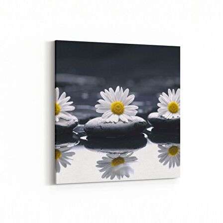 Olla 17060K Spa / Masaj Görseli Kare Kanvas Tablo (Ölçü: 25X25)