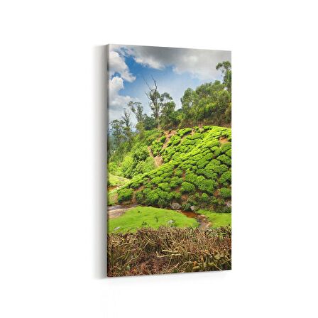 Olla 14544DD Doğa / Manzara Görseli Dikey Dar Kanvas Tablo (Ölçü: 30X60)