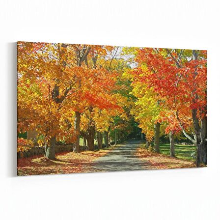 Olla 14529Y Doğa / Manzara Görseli Yatay Kanvas Tablo (Ölçü: 150X100)