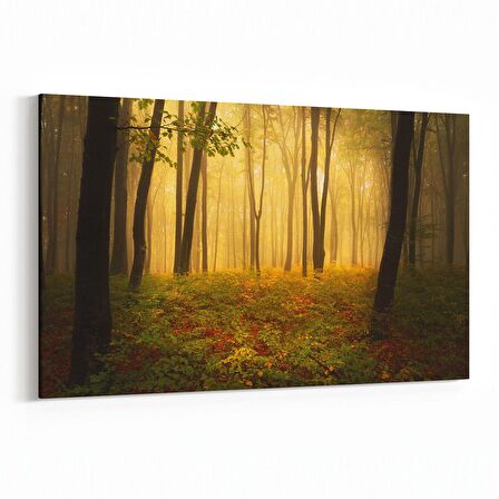 Olla 13374Y Doğa / Manzara Görseli Yatay Kanvas Tablo (Ölçü: 45X30)