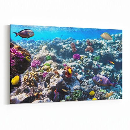Olla 12073Y Akvaryum / Balık Görseli Yatay Kanvas Tablo (Ölçü: 45X30)