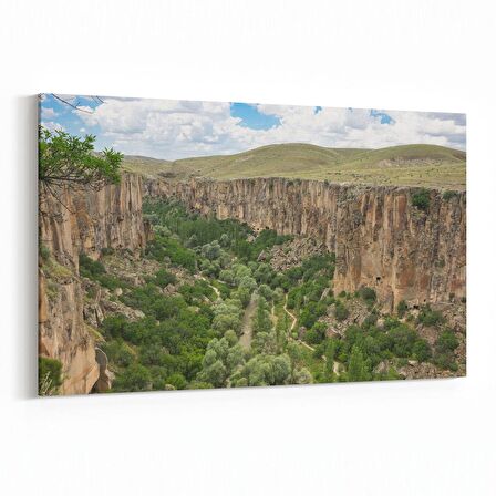 Olla 14063Y Doğa / Manzara Görseli Yatay Kanvas Tablo (Ölçü: 45X30)