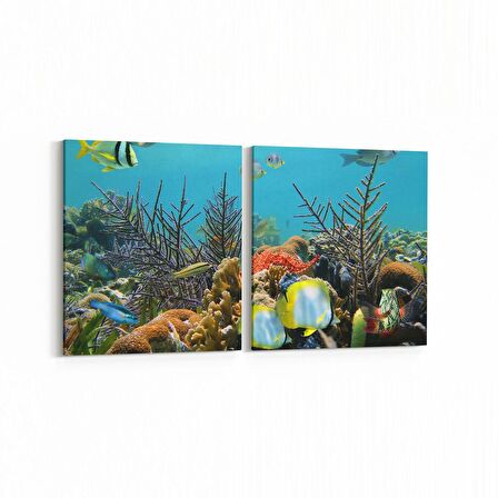 Olla 12204K2Y Akvaryum / Balık Görseli Kare 2'li Yatay Kanvas Tablo (Ölçü: 125X60)