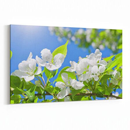 Olla 11048Y Ağaç Görseli Yatay Kanvas Tablo (Ölçü: 45X30)