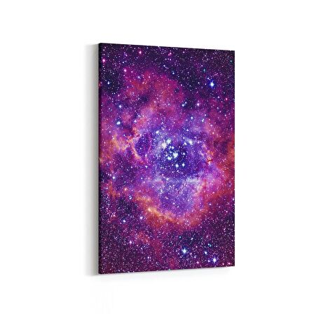 Olla 14857D Gece Gökyüzü Görseli Dikey Kanvas Tablo (Ölçü: 20X30)