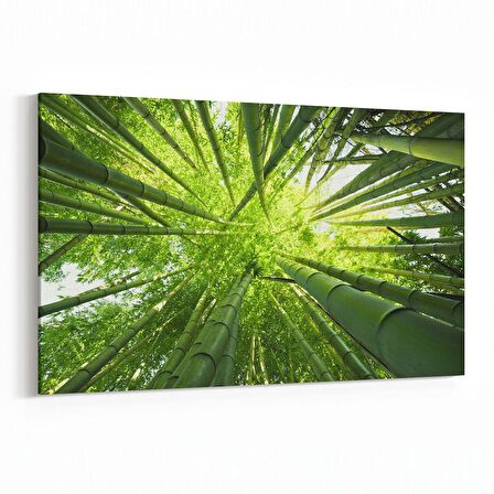 Olla 10805Y Ağaç Görseli Yatay Kanvas Tablo (Ölçü: 90X60)