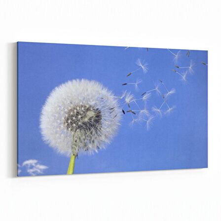 Olla 11036Y Ağaç Görseli Yatay Kanvas Tablo (Ölçü: 70X50)