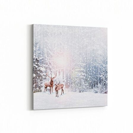 Olla 14145K Doğa / Manzara Görseli Kare Kanvas Tablo (Ölçü: 100X100)