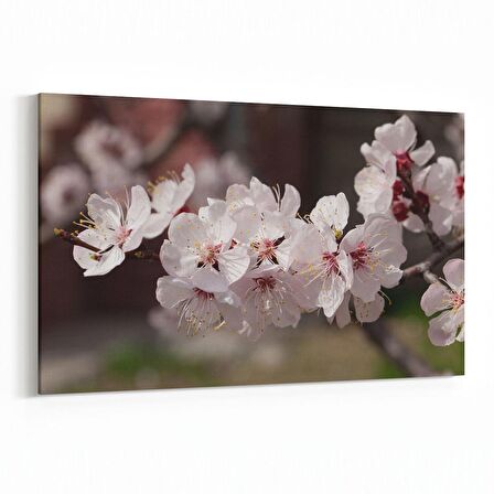 Olla 10665Y Ağaç Görseli Yatay Kanvas Tablo (Ölçü: 90X60)