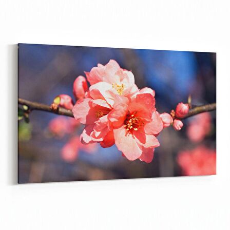 Olla 10930Y Ağaç Görseli Yatay Kanvas Tablo (Ölçü: 150X100)