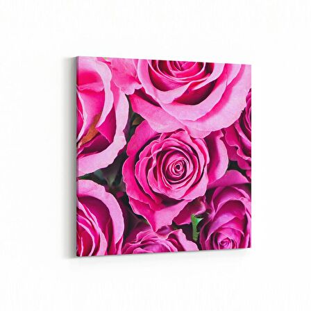 Olla 11567K Çiçek Görseli Kare Kanvas Tablo (Ölçü: 30X30)