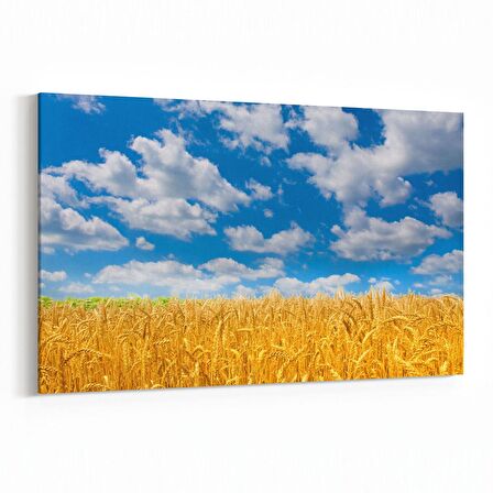 Olla 14105Y Doğa / Manzara Görseli Yatay Kanvas Tablo (Ölçü: 45X30)