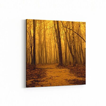 Olla 13885K Doğa / Manzara Görseli Kare Kanvas Tablo (Ölçü: 25X25)