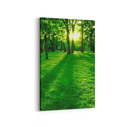 Olla 13370D Doğa / Manzara Görseli Dikey Kanvas Tablo (Ölçü: 70X105)