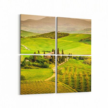 Olla 13628K4 Doğa / Manzara Görseli Kare 4'lü Kanvas Tablo (Ölçü: 105X105)