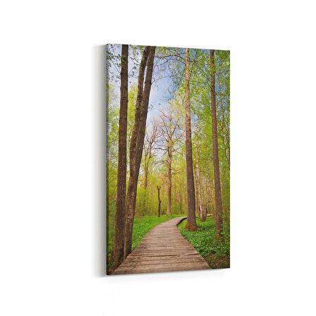 Olla 13445DD Doğa / Manzara Görseli Dikey Dar Kanvas Tablo (Ölçü: 40X80)