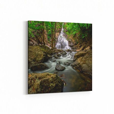 Olla 13164K Doğa / Manzara Görseli Kare Kanvas Tablo (Ölçü: 30X30)