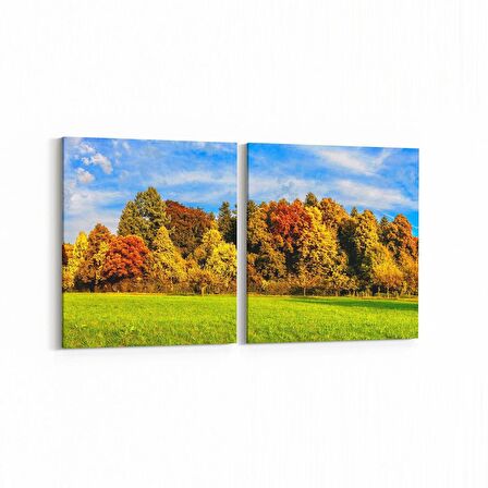 Olla 14131K2Y Doğa / Manzara Görseli Kare 2'li Yatay Kanvas Tablo (Ölçü: 125X60)