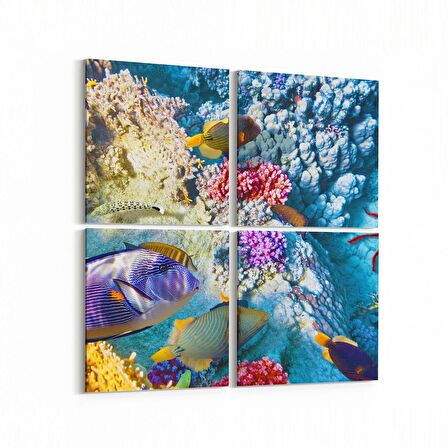 Olla 12131K4 Akvaryum / Balık Görseli Kare 4'lü Kanvas Tablo (Ölçü: 65X65)