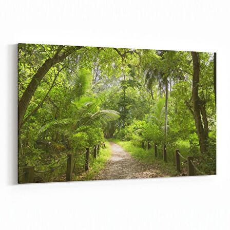 Olla 13428Y Doğa / Manzara Görseli Yatay Kanvas Tablo (Ölçü: 70X50)