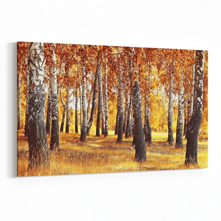 Olla 14096Y Doğa / Manzara Görseli Yatay Kanvas Tablo (Ölçü: 70X50)