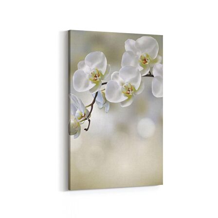 Olla 11718D Orkide Çiçek Görseli Dikey Kanvas Tablo (Ölçü: 100X150)