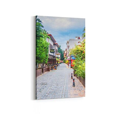 Olla 13375D Doğa / Manzara Görseli Dikey Kanvas Tablo (Ölçü: 100X150)