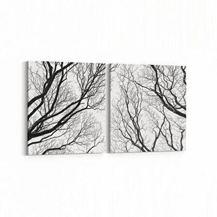 Olla 10884K2Y Ağaç Görseli Kare 2'li Yatay Kanvas Tablo (Ölçü: 125X60)