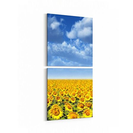 Olla 13933K2D Doğa / Manzara Görseli Kare 2'li Dikey Kanvas Tablo (Ölçü: 30X65)