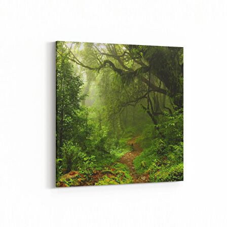 Olla 13455K Doğa / Manzara Görseli Kare Kanvas Tablo (Ölçü: 30X30)