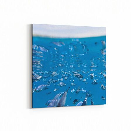 Olla 12881K Deniz / Okyanus Görseli Kare Kanvas Tablo (Ölçü: 60X60)