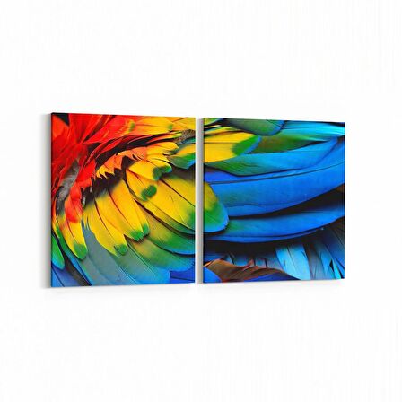 Olla 12576K2Y Hayvanlar Alemi Görseli Kare 2'li Yatay Kanvas Tablo (Ölçü: 65X30)